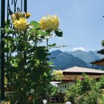 3 Sterne Hotel Salzburger Land