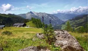 Yoga Retreat